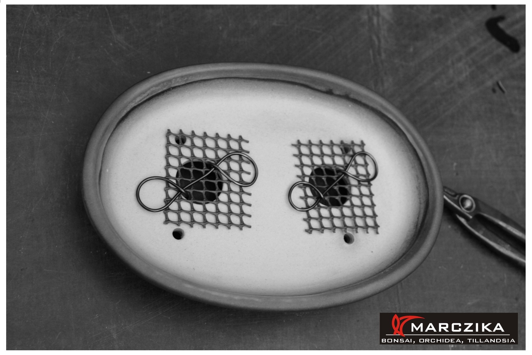 bonsai tál felkészítése, bonsai átültetése, shohin bonsai tál Bonsai tál felkészítése bonsai átültetésre, shohin bonsai tál shohin bonsaihoz.